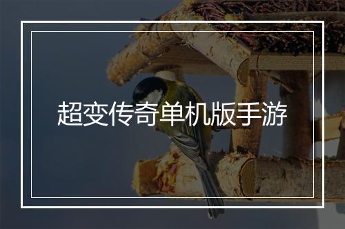 超变传奇单机版手游