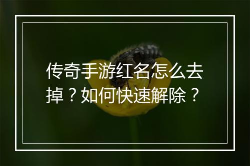 传奇手游红名怎么去掉？如何快速解除？