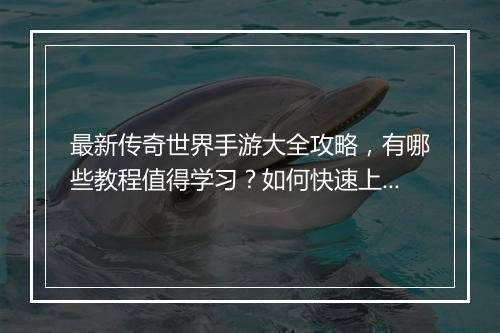 最新传奇世界手游大全攻略，有哪些教程值得学习？如何快速上手？