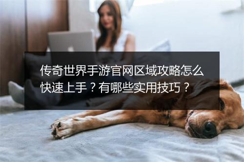 传奇世界手游官网区域攻略怎么快速上手？有哪些实用技巧？