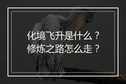 化境飞升是什么？修炼之路怎么走？