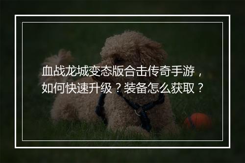 血战龙城变态版合击传奇手游，如何快速升级？装备怎么获取？