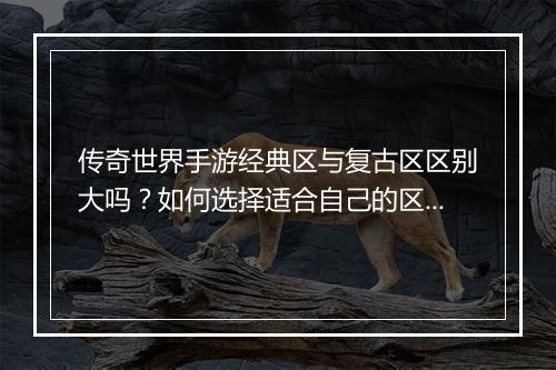 传奇世界手游经典区与复古区区别大吗？如何选择适合自己的区？