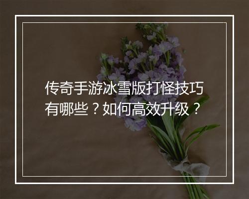 传奇手游冰雪版打怪技巧有哪些？如何高效升级？