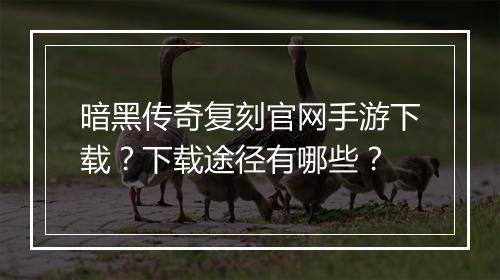 暗黑传奇复刻官网手游下载？下载途径有哪些？
