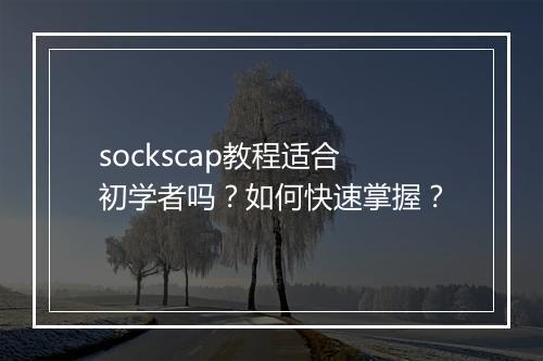 sockscap教程适合初学者吗？如何快速掌握？