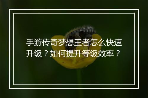 手游传奇梦想王者怎么快速升级？如何提升等级效率？