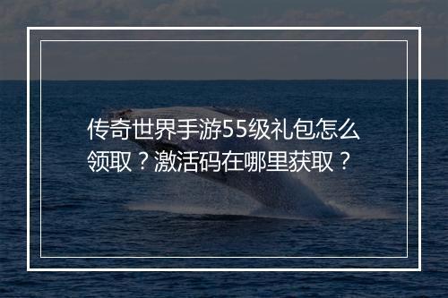 传奇世界手游55级礼包怎么领取？激活码在哪里获取？