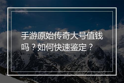 手游原始传奇大号值钱吗？如何快速鉴定？