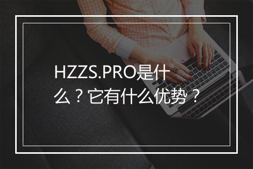 HZZS.PRO是什么？它有什么优势？