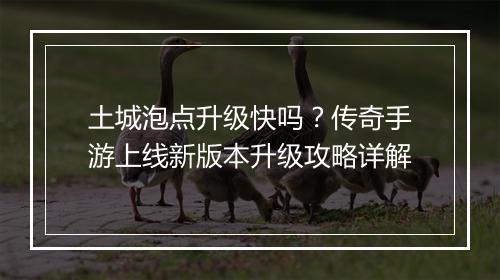 土城泡点升级快吗？传奇手游上线新版本升级攻略详解