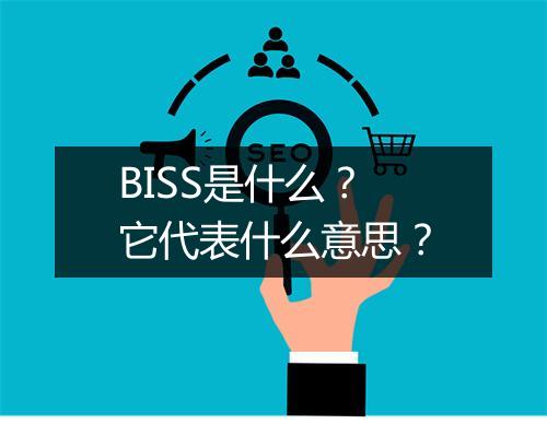 BISS是什么？它代表什么意思？