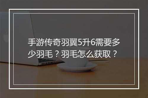 手游传奇羽翼5升6需要多少羽毛？羽毛怎么获取？