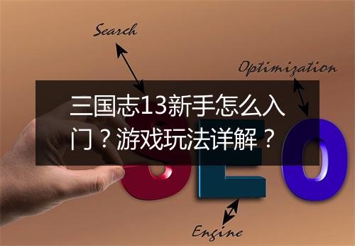 三国志13新手怎么入门？游戏玩法详解？