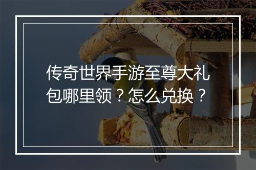 传奇世界手游至尊大礼包哪里领?怎么兑换?