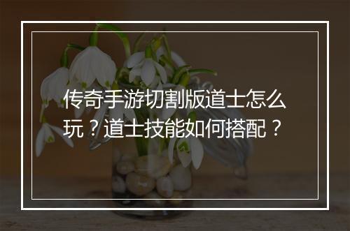 传奇手游切割版道士怎么玩？道士技能如何搭配？