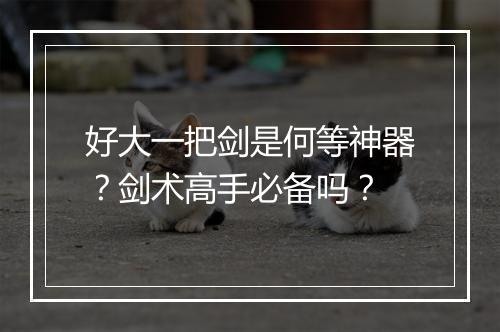 好大一把剑是何等神器？剑术高手必备吗？