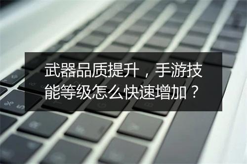 武器品质提升，手游技能等级怎么快速增加？