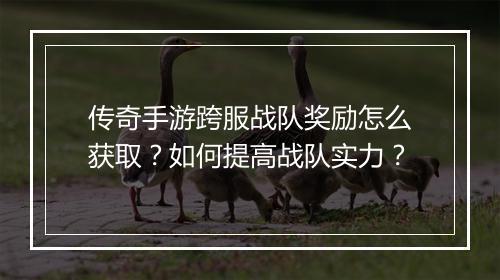 传奇手游跨服战队奖励怎么获取？如何提高战队实力？