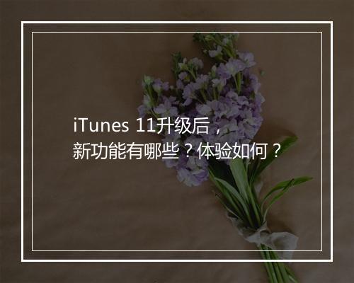 iTunes 11升级后，新功能有哪些？体验如何？