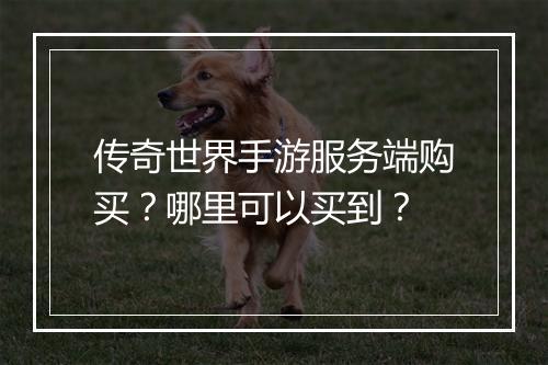 传奇世界手游服务端购买？哪里可以买到？