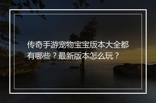 传奇手游宠物宝宝版本大全都有哪些？最新版本怎么玩？