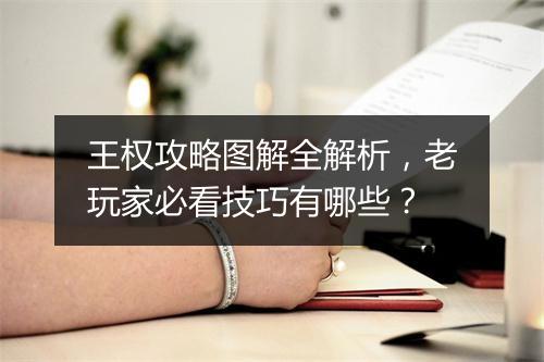 王权攻略图解全解析，老玩家必看技巧有哪些？