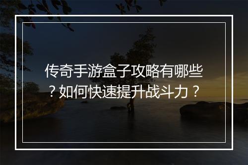 传奇手游盒子攻略有哪些？如何快速提升战斗力？