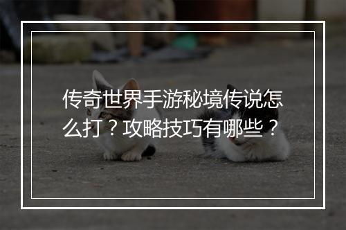 传奇世界手游秘境传说怎么打？攻略技巧有哪些？
