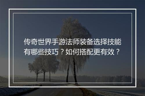 传奇世界手游法师装备选择技能有哪些技巧？如何搭配更有效？