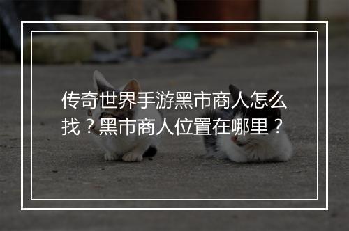传奇世界手游黑市商人怎么找？黑市商人位置在哪里？