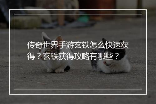 传奇世界手游玄铁怎么快速获得？玄铁获得攻略有哪些？
