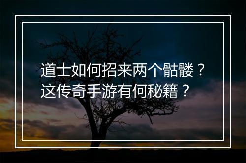 道士如何招来两个骷髅？这传奇手游有何秘籍？