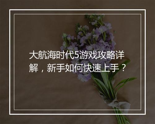 大航海时代5游戏攻略详解，新手如何快速上手？