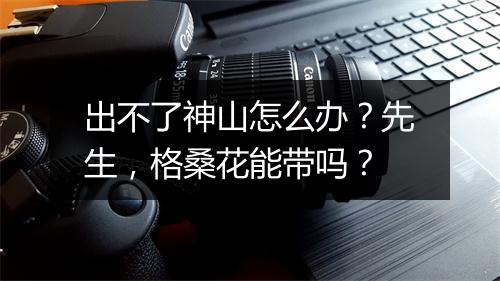 出不了神山怎么办？先生，格桑花能带吗？