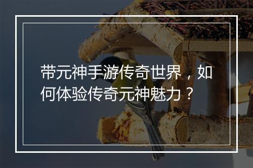 带元神手游传奇世界，如何体验传奇元神魅力？