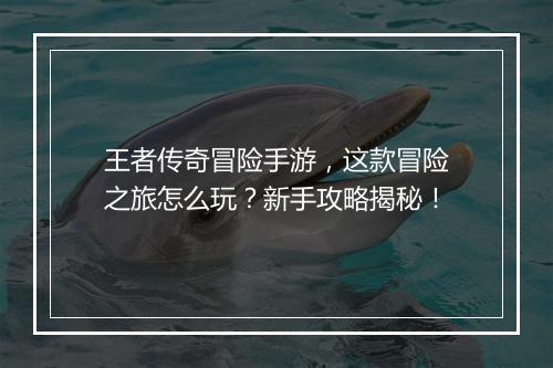 王者传奇冒险手游，这款冒险之旅怎么玩？新手攻略揭秘！