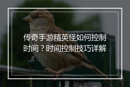 传奇手游精英怪如何控制时间？时间控制技巧详解