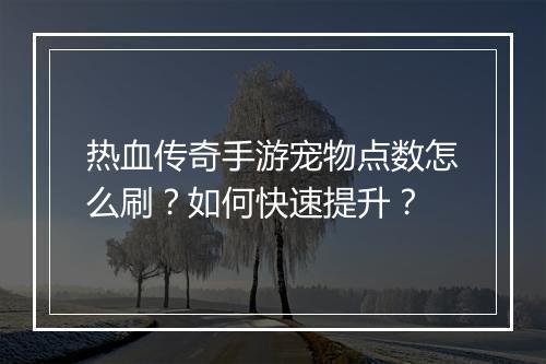 热血传奇手游宠物点数怎么刷？如何快速提升？