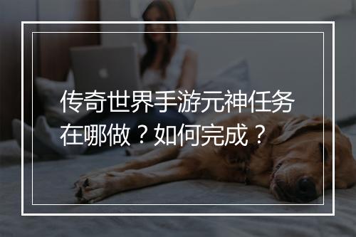 传奇世界手游元神任务在哪做？如何完成？