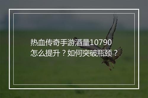 热血传奇手游酒量10790怎么提升？如何突破瓶颈？