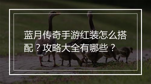 蓝月传奇手游红装怎么搭配？攻略大全有哪些？