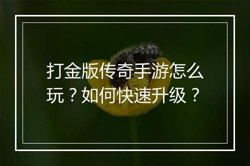 打金版传奇手游怎么玩？如何快速升级？
