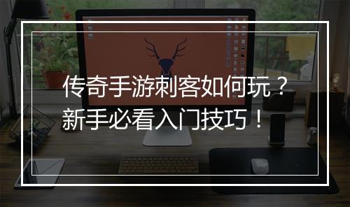 传奇手游刺客如何玩？新手必看入门技巧！