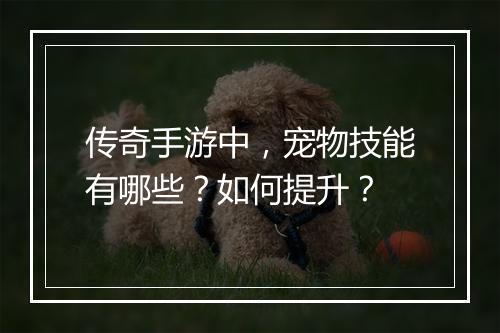 传奇手游中，宠物技能有哪些？如何提升？