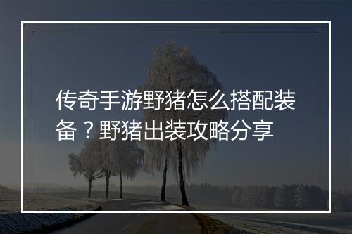 传奇手游野猪怎么搭配装备？野猪出装攻略分享