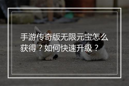 手游传奇版无限元宝怎么获得？如何快速升级？