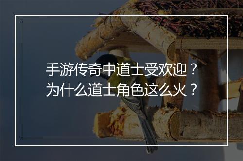 手游传奇中道士受欢迎？为什么道士角色这么火？