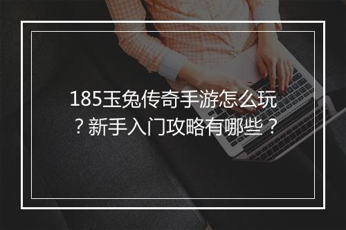 185玉兔传奇手游怎么玩？新手入门攻略有哪些？