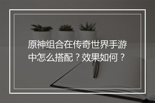 原神组合在传奇世界手游中怎么搭配？效果如何？